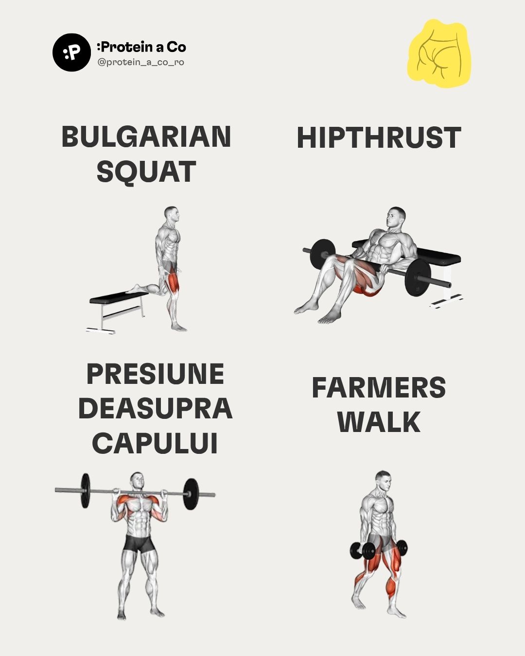 Nejlepsi-cviky-do-fitka-2-RO-clanek-cviceni-proteinaco